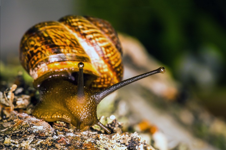 Самые необычные научные новости года Самые необычные научные новости года