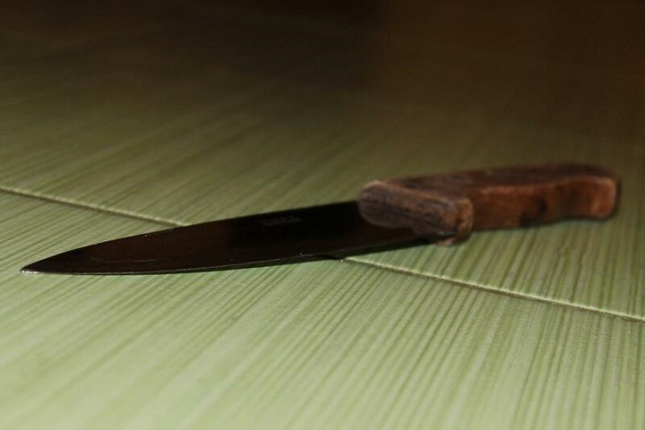 Омичка зарезала невестку за то, что та не заботилась о ее сыне