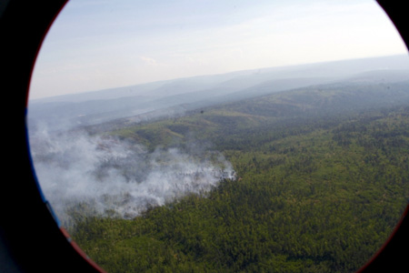 Глава МЧС: Ситуацию с пожарами в Сибири прошляпили Глава МЧС: Ситуацию с пожарами в Сибири прошляпили