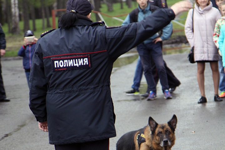 Следовательница получила 10 лет за организацию ограбления бизнесмена в Кузбассе с документами ФСБ Следовательница получила 10 лет за организацию ограбления бизнесмена в Кузбассе с документами ФСБ