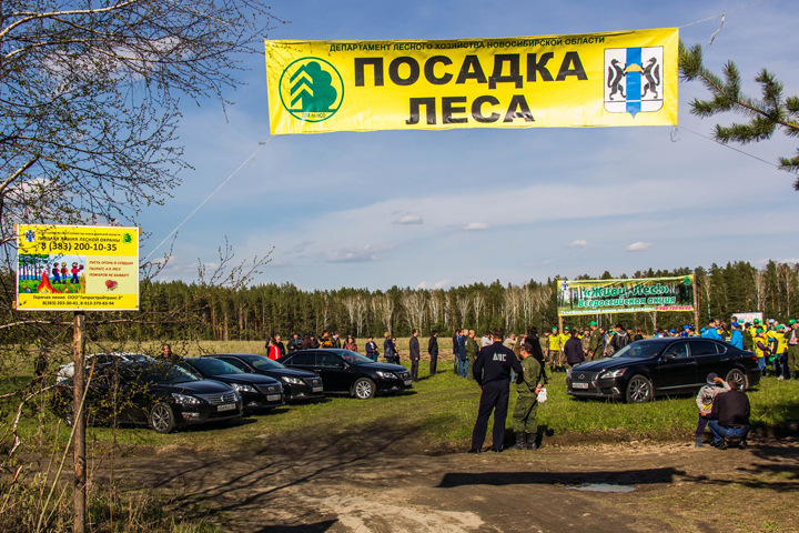 Стал известен арендатор 250 тыс. га тогучинского леса Стал известен арендатор 250 тыс. га тогучинского леса