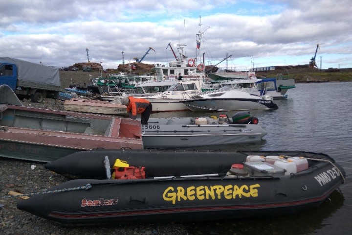 Срыв экспедиции «Гринпис» в Дудинке расследуют красноярские полицейские