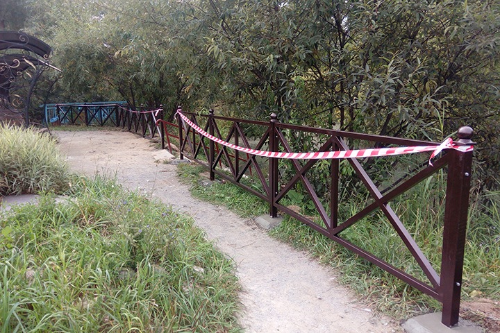 Жители Советского района Новосибирска провели пикник в честь забора