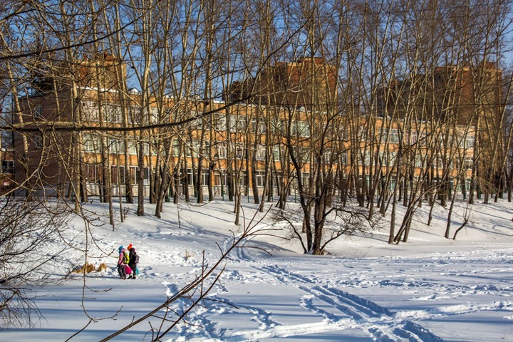 Новосибирская школа в «Стрижах» получит деньги из резервного фонда президента Новосибирская школа в «Стрижах» получит деньги из резервного фонда президента
