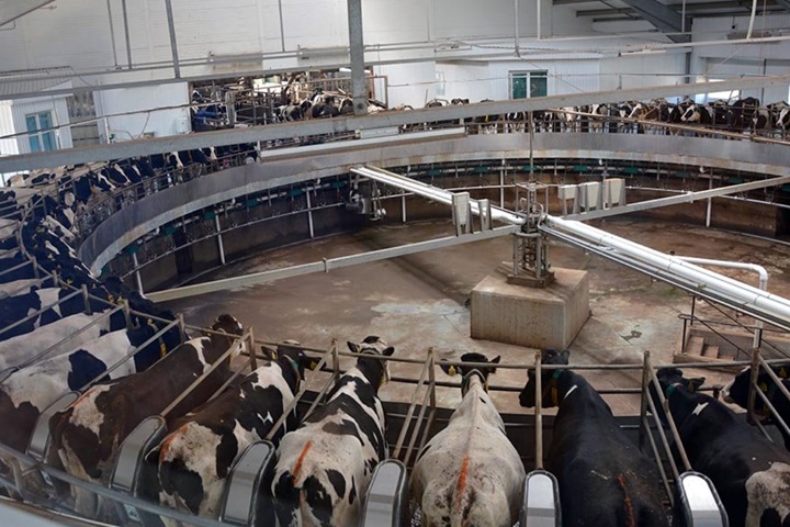 Агрохолдинг «ЭкоНива» заходит в Алтайский край Агрохолдинг «ЭкоНива» заходит в Алтайский край