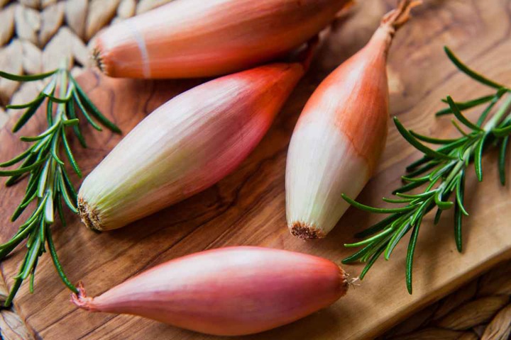 Сибирские ученые выводят новые сорта лука-шалота