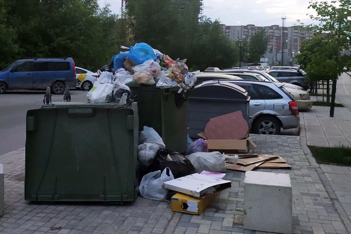 Крысы напали на пять новосибирцев на фоне мусорного коллапса Крысы напали на пять новосибирцев на фоне мусорного коллапса