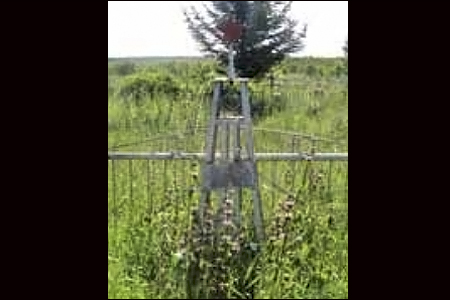 Новосибирский суд обязал власти ухаживать за могилой жертв антибольшевистского мятежа