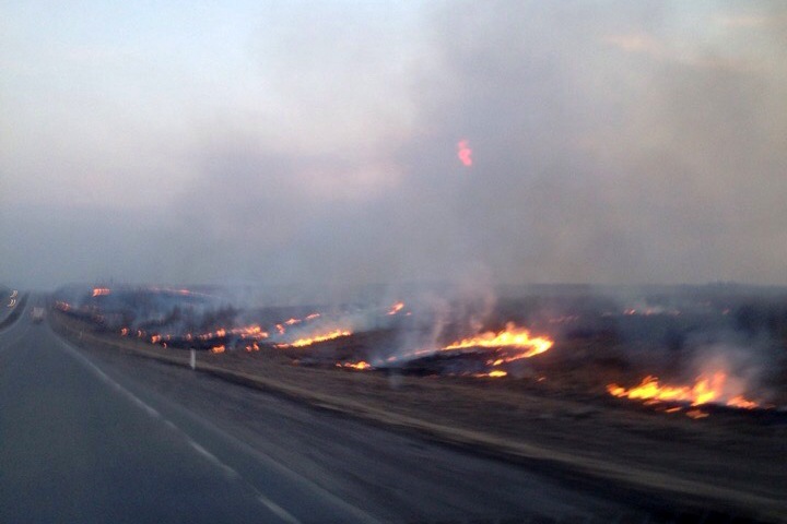 Тысячи гектаров полей полыхают вдоль трассы в Кузбассе
