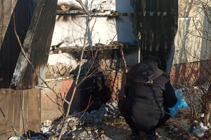 Приют для животных подожгли в Улан-Удэ после нападения собак на людей