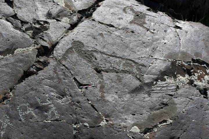 Археологи нашли наскальные рисунки мамонтов на Алтае и в Монголии. Фото дня