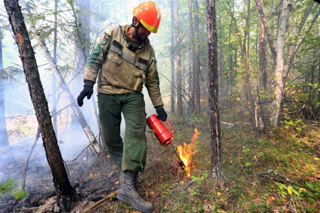 Рослесхоз выводит из горящей Бурятии дополнительные силы Рослесхоз выводит из горящей Бурятии дополнительные силы