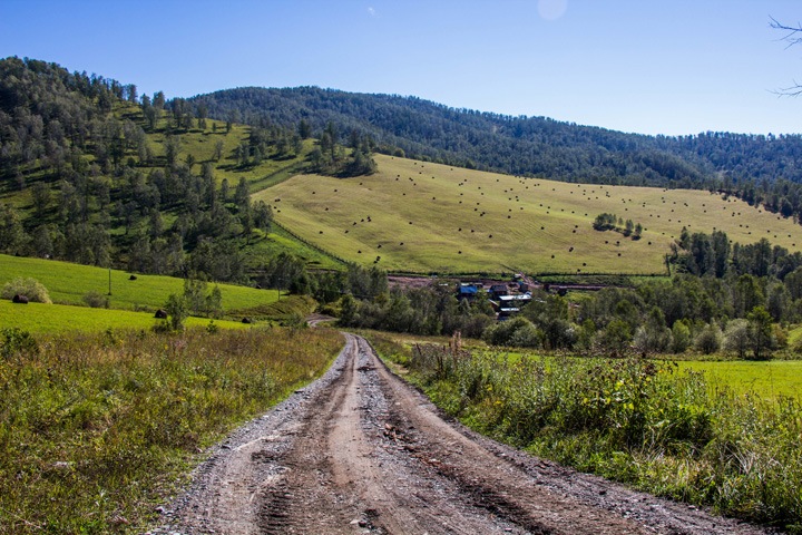Рейсы в Белокуриху и Горный Алтай открываются из Новосибирска, Новокузнецка и Томска Рейсы в Белокуриху и Горный Алтай открываются из Новосибирска, Новокузнецка и Томска