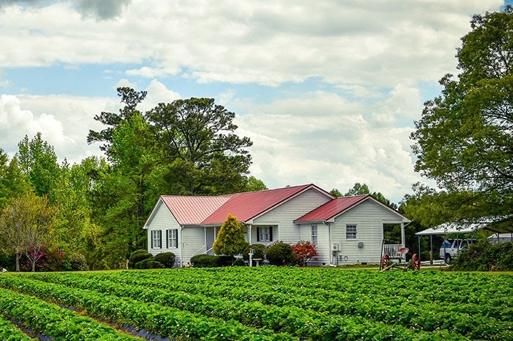 Фермерское дело на 1 Га – перспектива реализации своих желаний Фермерское дело на 1 Га – перспектива реализации своих желаний