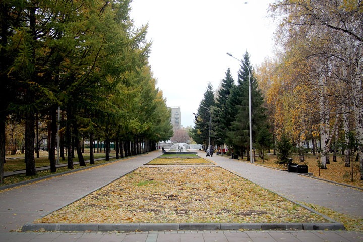 Новосибирцы решили судьбу сквера в Советском районе Новосибирцы решили судьбу сквера в Советском районе