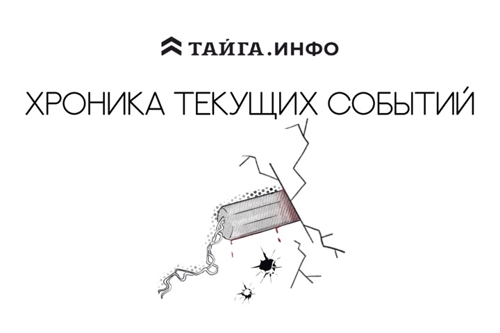 Хроника текущих событий. Экономика, общество, политика. Выпуск 208 Хроника текущих событий. Экономика, общество, политика. Выпуск 208