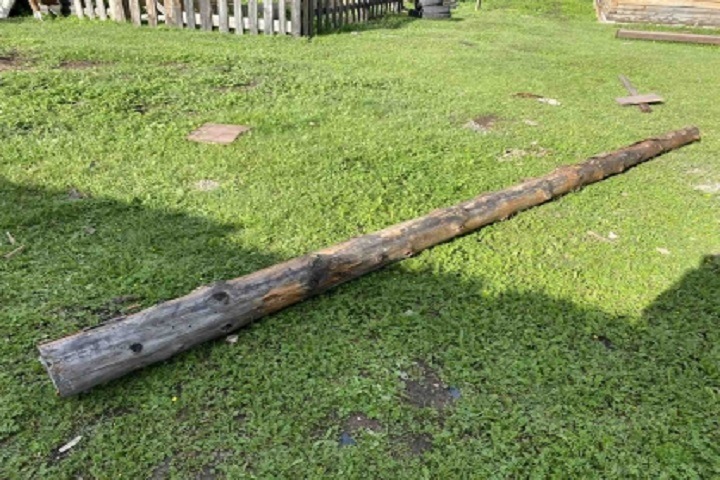 Жителя Бурятии подозревают в убийстве внука бревном