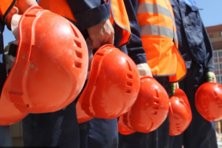 Новосибирский оператор миграционных услуг пожаловался на действия силовиков Новосибирский оператор миграционных услуг пожаловался на действия силовиков