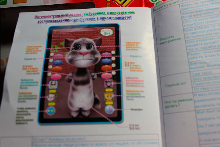 Читинского прокурора возмутил кот, поющий про мышиный труп и жареного хомячка