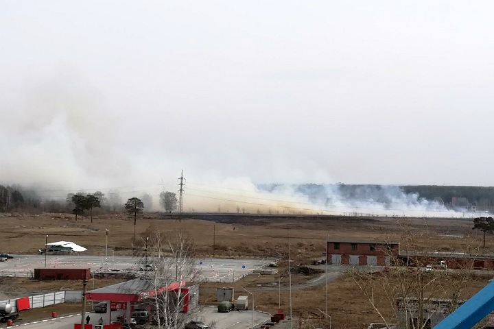 Пожароопасный сезон объявили в Новосибирской области Пожароопасный сезон объявили в Новосибирской области
