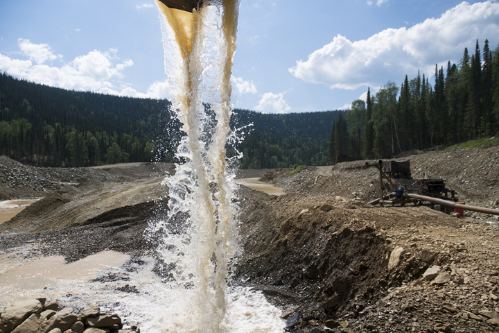 Золотая жизнь Золотая жизнь