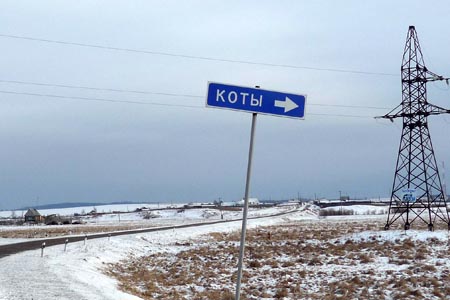 Сотрудники наркоконтроля обнаружили 15 кг марихуаны и гашиш в деревне Коты Сотрудники наркоконтроля обнаружили 15 кг марихуаны и гашиш в деревне Коты