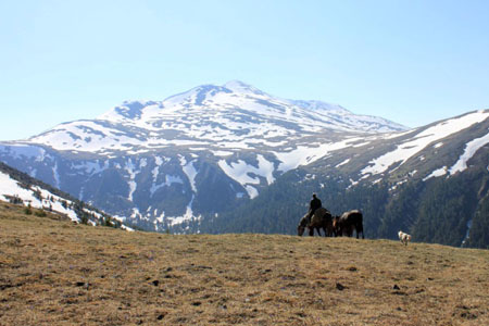 ГОК на Зашихинском месторождении в Приангарье начнут строить в 2016 году ГОК на Зашихинском месторождении в Приангарье начнут строить в 2016 году