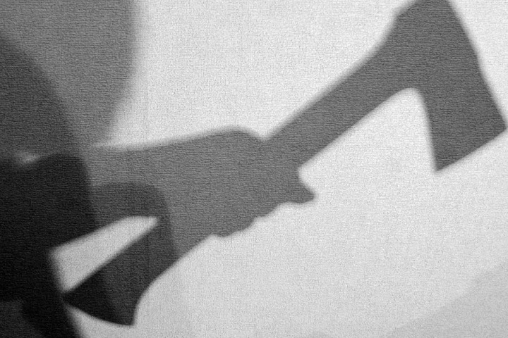 Томич во время суда женился на избившей его топором пенсионерке