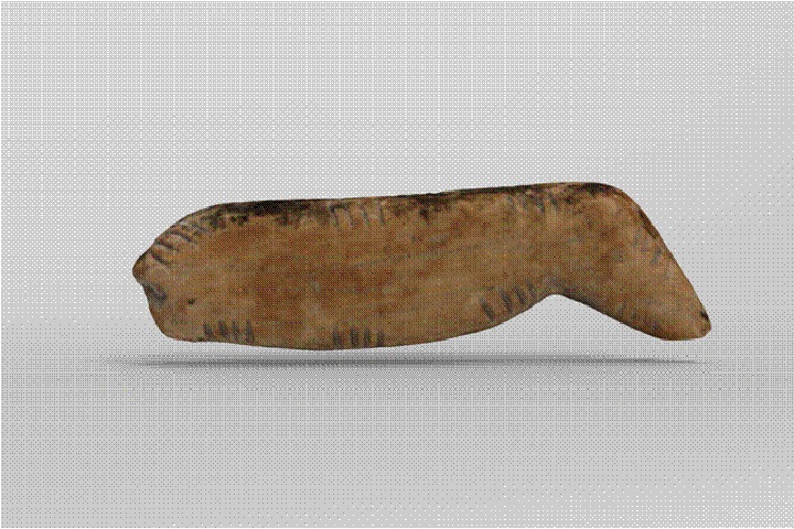 Новосибирские археологи нашли древнюю фигурку льва в Денисовой пещере Новосибирские археологи нашли древнюю фигурку льва в Денисовой пещере