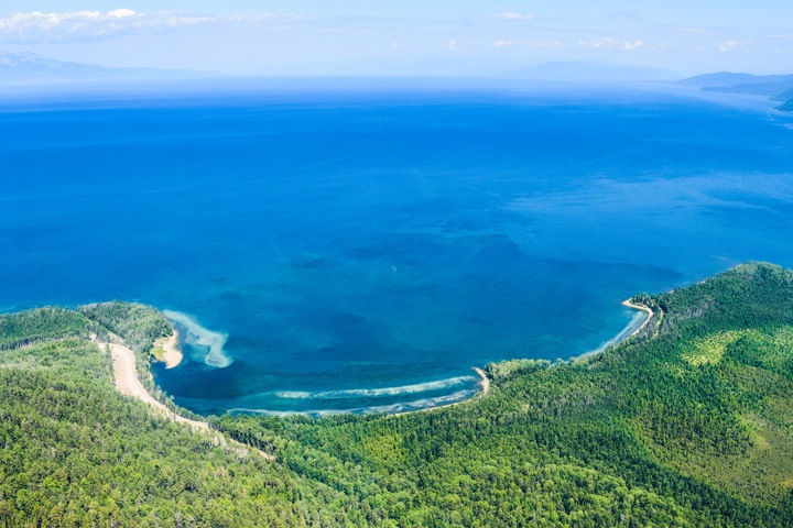 Власти Бурятии отдали под вырубку 2,5 млн кубометров леса на берегу Байкала
