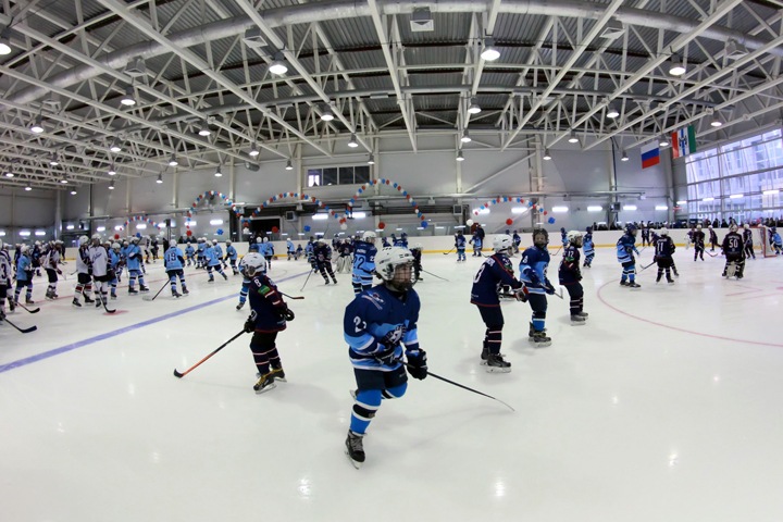 Врио губернатора поручил искать новые площадки под ЛДС в Новосибирске