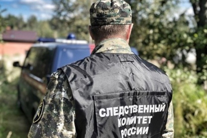 Сотрясение мозга и сломанный нос: глава села избила подчиненную палкой на Алтае