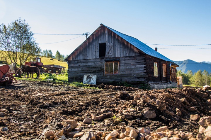 Федеральные министры будут курировать Алтай и Туву из-за бедности населения Федеральные министры будут курировать Алтай и Туву из-за бедности населения