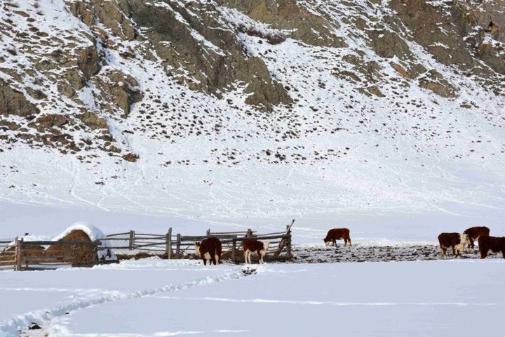 Землетрясение произошло на Алтае Землетрясение произошло на Алтае