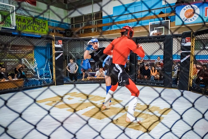 Федерация смешанных единоборств закрылась в Алтайском крае Федерация смешанных единоборств закрылась в Алтайском крае