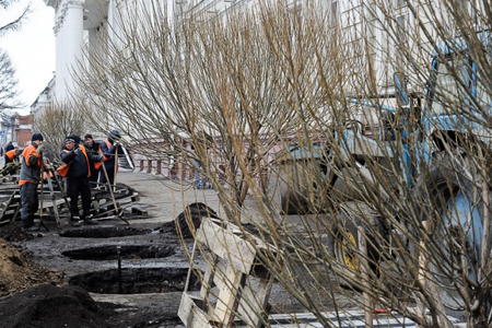 Омская прокуратура заинтересовалась посадками Омская прокуратура заинтересовалась посадками