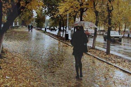 Штормовое предупреждение объявлено в Новосибирской области 