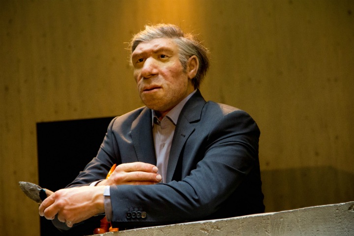 Неандертальцы принесли в Сибирь каменные орудия из Европы Неандертальцы принесли в Сибирь каменные орудия из Европы