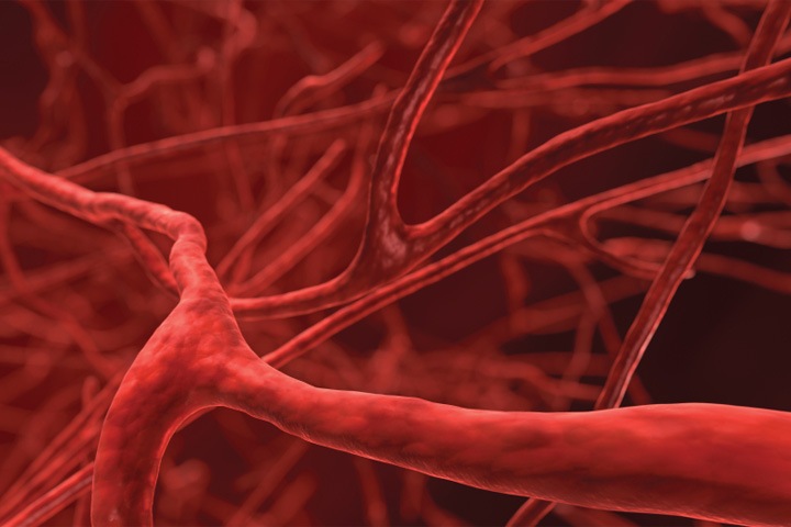 Новосибирские ученые придумали материал для создания искусственных сосудов Новосибирские ученые придумали материал для создания искусственных сосудов