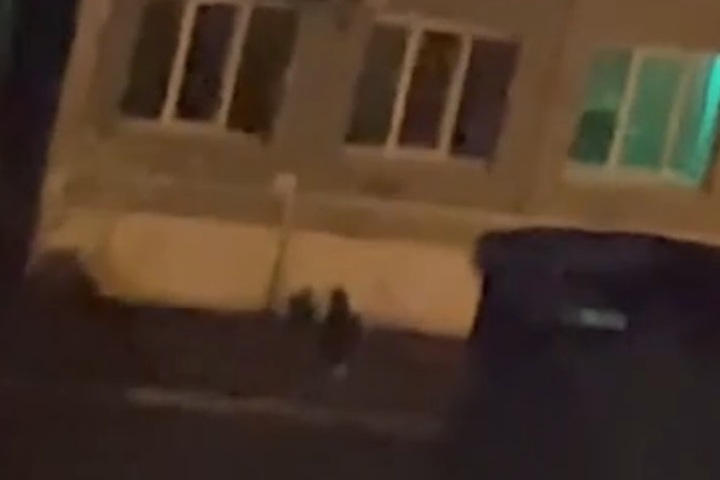 СК проверит видео, на котором пьяная мать применяла насилие к сыну на улице Читы