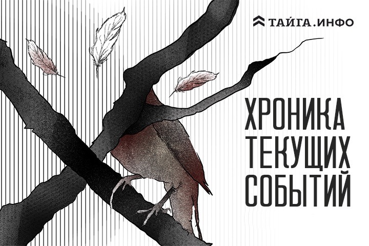 Хроника текущих событий. Экономика, общество, политика. Выпуск 322