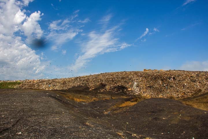 Новосибирское правительство о мусорной реформе: все перевозчики знают, где забирать отходы Новосибирское правительство о мусорной реформе: все перевозчики знают, где забирать отходы