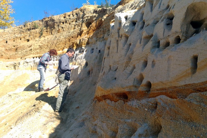 Ученые рассказали об угрозе превращения Иркутской области в пустыню