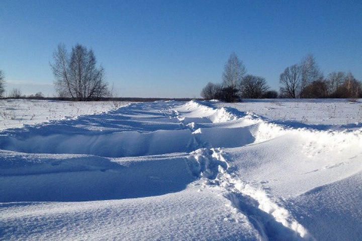 Режим ЧС ввели в трех районах Алтайского края из-за метели Режим ЧС ввели в трех районах Алтайского края из-за метели