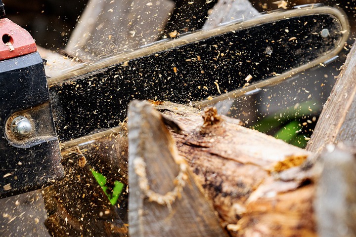 Ребенок изуродовал руку бензопилой в Омской области