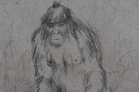 Ученые обнаружили в кузбасской тайге следы и шерсть йети Ученые обнаружили в кузбасской тайге следы и шерсть йети