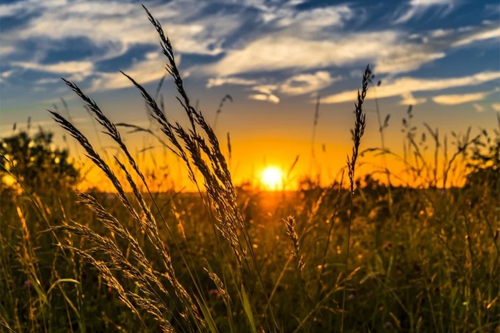 Экстренное предупреждение передано в Новосибирской области Экстренное предупреждение передано в Новосибирской области