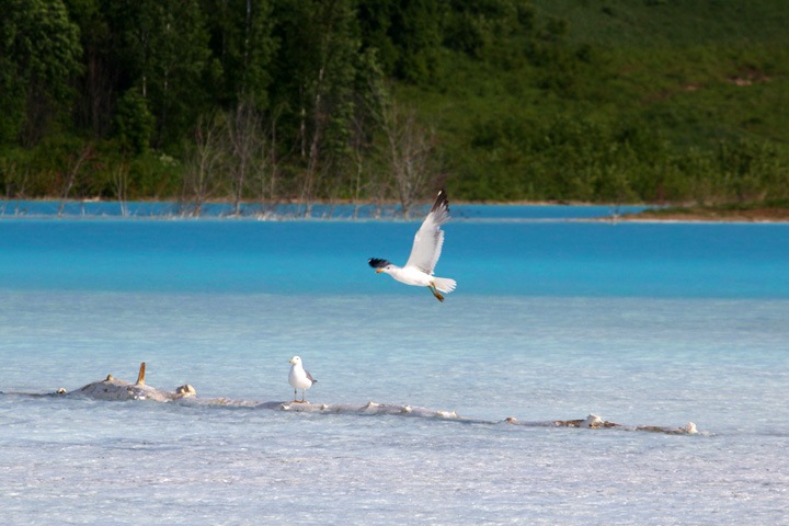 «Сибирские Мальдивы»: власти предложили сделать смотровую площадку на золоотвале ТЭЦ-5