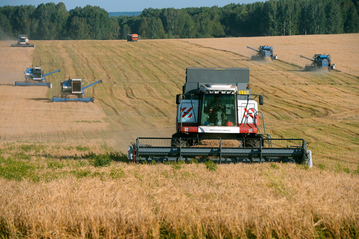 Аграрии Новосибирской области завершают уборочную Аграрии Новосибирской области завершают уборочную