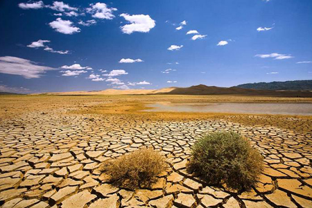 Life: Российские ученые предостерегли Монголию от строительства ГЭС на притоке Байкала Life: Российские ученые предостерегли Монголию от строительства ГЭС на притоке Байкала